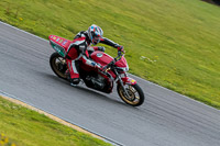 PJ-Motorsport-2019;anglesey-no-limits-trackday;anglesey-photographs;anglesey-trackday-photographs;enduro-digital-images;event-digital-images;eventdigitalimages;no-limits-trackdays;peter-wileman-photography;racing-digital-images;trac-mon;trackday-digital-images;trackday-photos;ty-croes